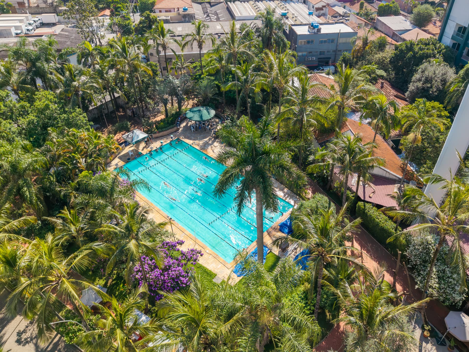 Foto do espaço Piscina Semiolímpica